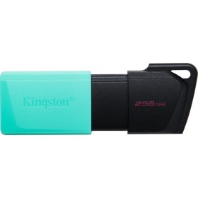Kingston 256GB USB3.2 Gen1 DataTraveler Exodia M (Black + Teal)